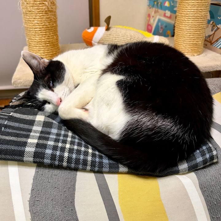 321ac247 a962 4527 a3df 2c8d74aea39a 1768007740031