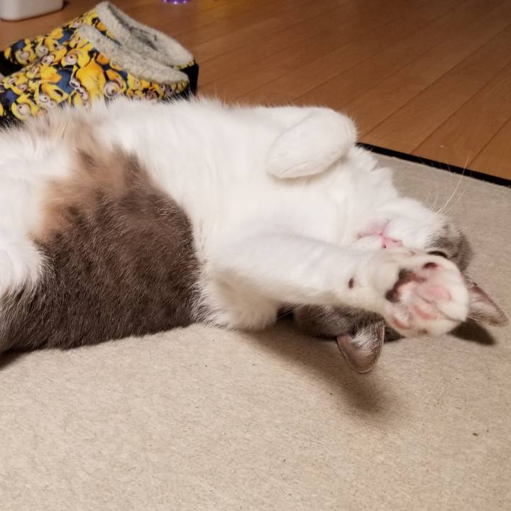 321b1710 8ca4 4160 9fe8 038539a0decc 1612620206545