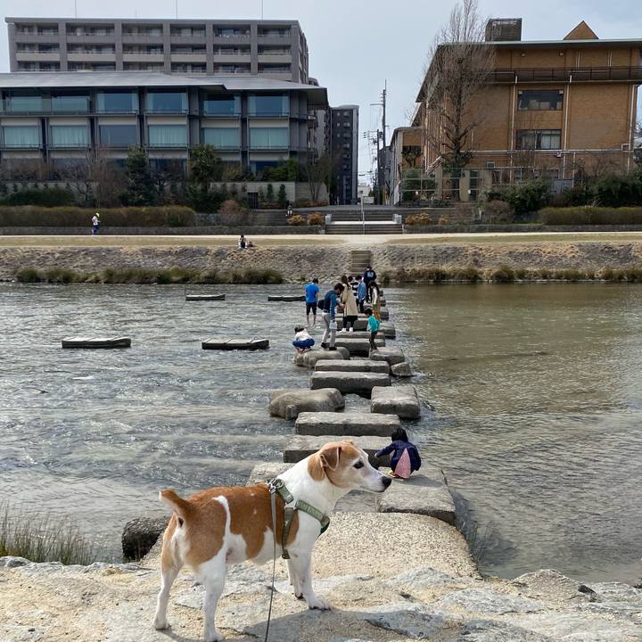 321b2d59 1b03 441b ad22 1d5507387a80 1647149952828