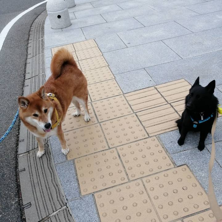 321b4937 9d0b 4be6 ab58 3793a74ab298 1656194581626