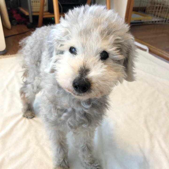 321b65d2 ac65 4dca 8ec4 0e5ae501d6de 1649721768824