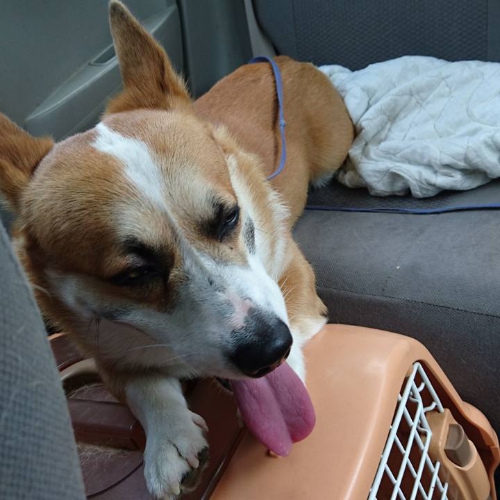 321b8eb6 b7f8 45d0 b458 34805cdb8b39 1597889453083