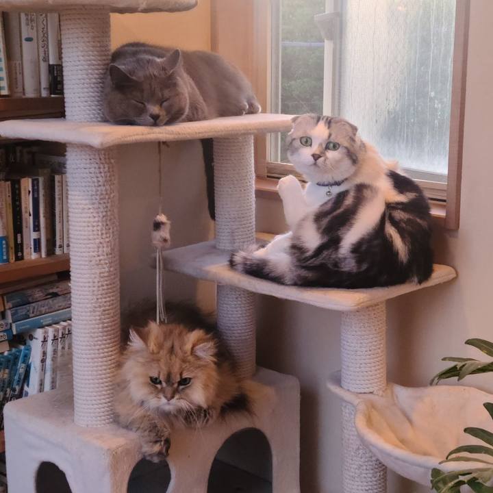 321bcd21 e165 45c0 9c99 0c7efe0d636a 1683152070341