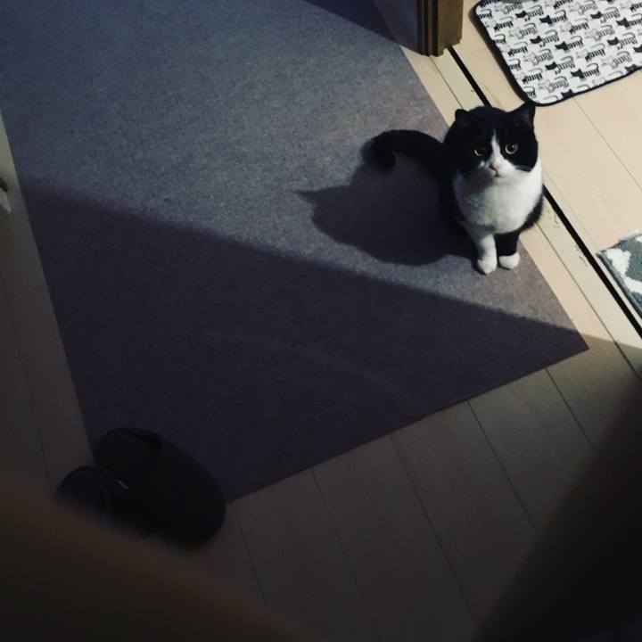 321bdce3 ea44 4c6e 91b8 842fc1e01b02 1605562732165