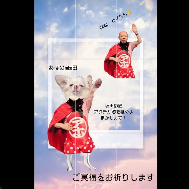 321be382 59bb 44d2 8d91 4212fadaf54b 1704007897507