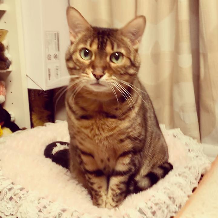 321c116f 0201 45a4 a25b 329553f84022 1577919618421