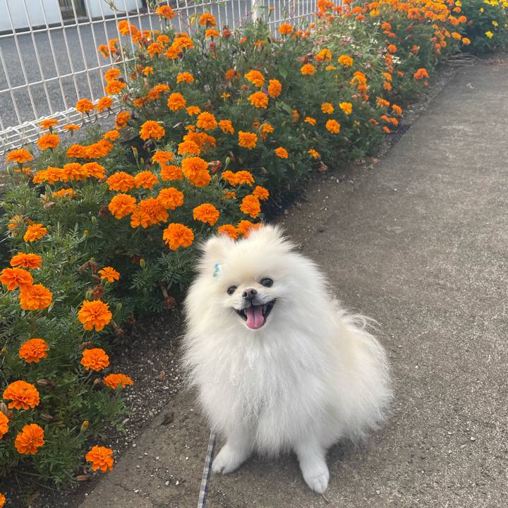 321c31b4 941e 4ade 80e2 f8489a478cfb 1633217322976