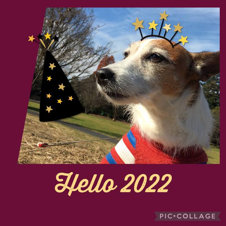 321c595d aaa0 42a5 a8ff 018ee93146d5 1640998965665