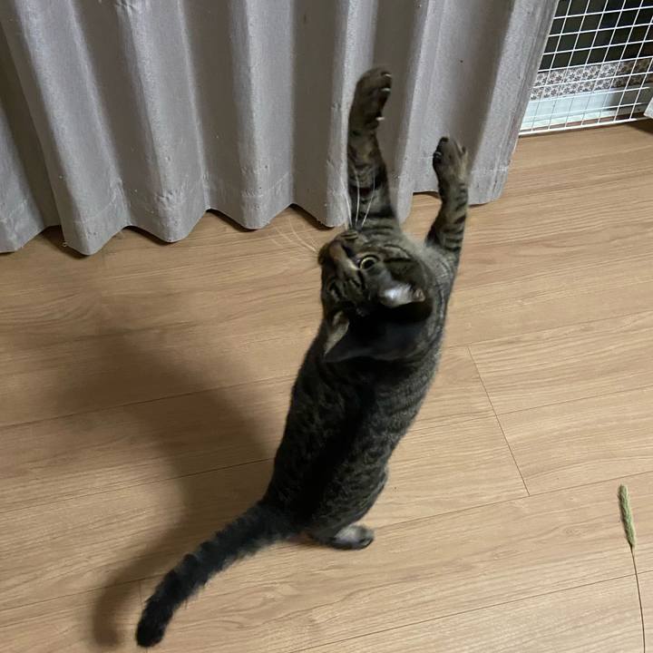 321c70bd fd14 4f77 94af 8a00482f7457 1629028191475