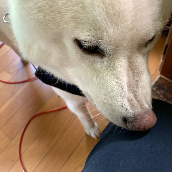 321c7bc6 b2be 4074 95bd 83234eca4a55 1627776768003