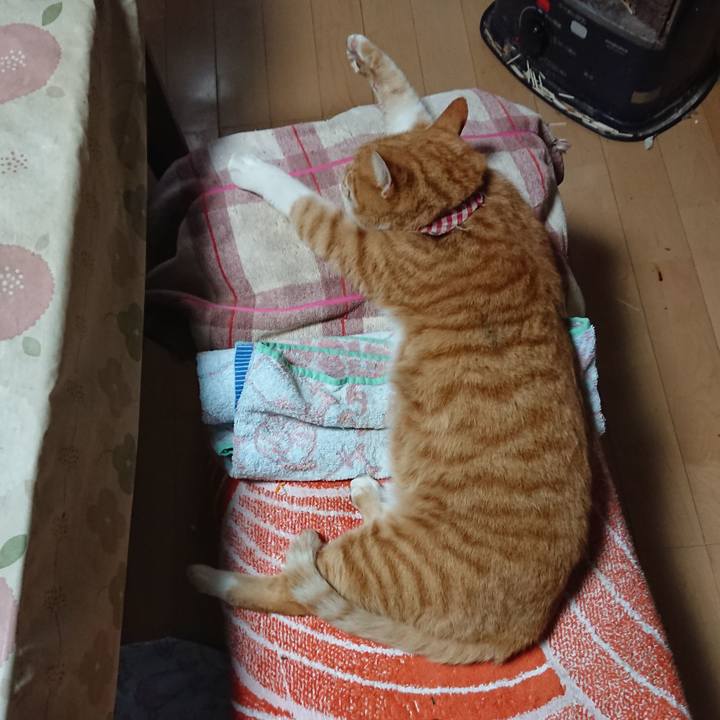 321cc6b5 6a6b 43f6 9980 c16a5f4957f8 1605936668423