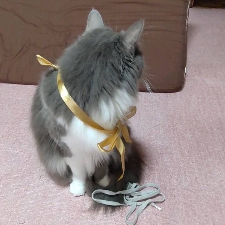 321cdaac 5ccd 47ac 8583 650d0dbbb232 1740896298348