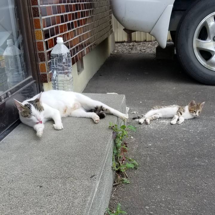 321d7e47 db9f 4eb8 9687 2f81ab238466 1600523856098