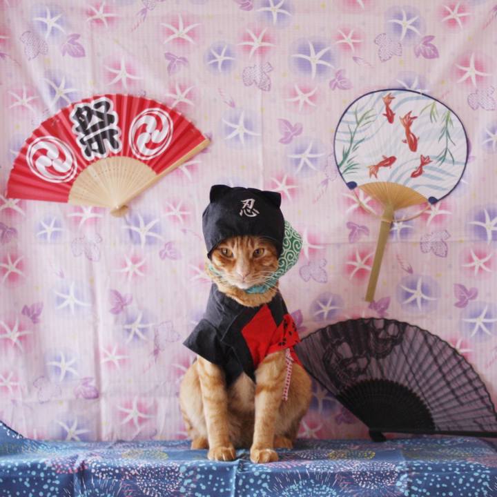 321d9708 9af7 4491 8ed5 6b248484dc20 1753356866802