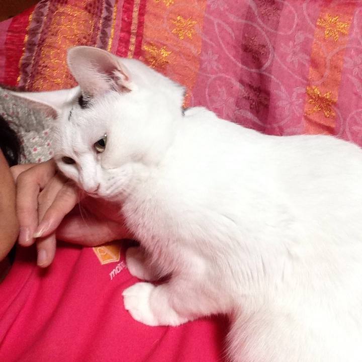 321dad93 6c32 40c5 957b e2bc750158cd 1507984676214