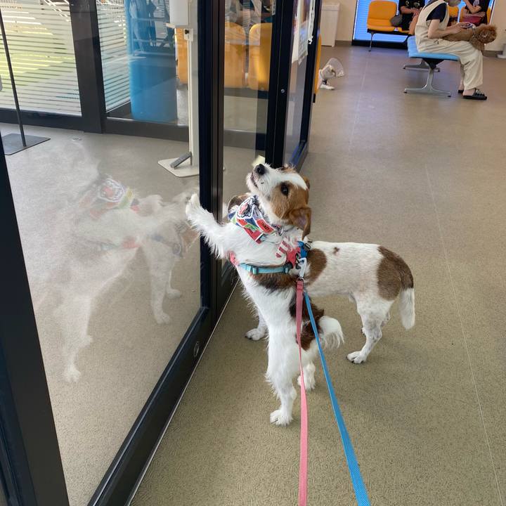 321dd08b c588 4bcc aaa0 7365eb835253 1691809655754