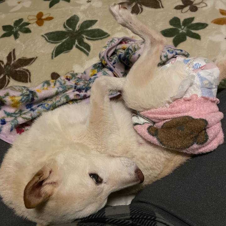 321deeb7 f987 4a59 a1f3 a01783d5ebeb 1668643777154