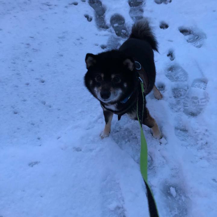 321df864 72a5 4169 ae5b 3e2c8b6a51ac 1521181480837