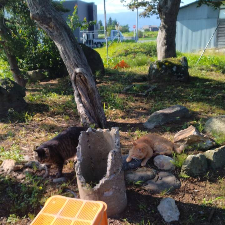 321e02fd 7208 46cf 84c9 6fbb82b057a6 1688600707478