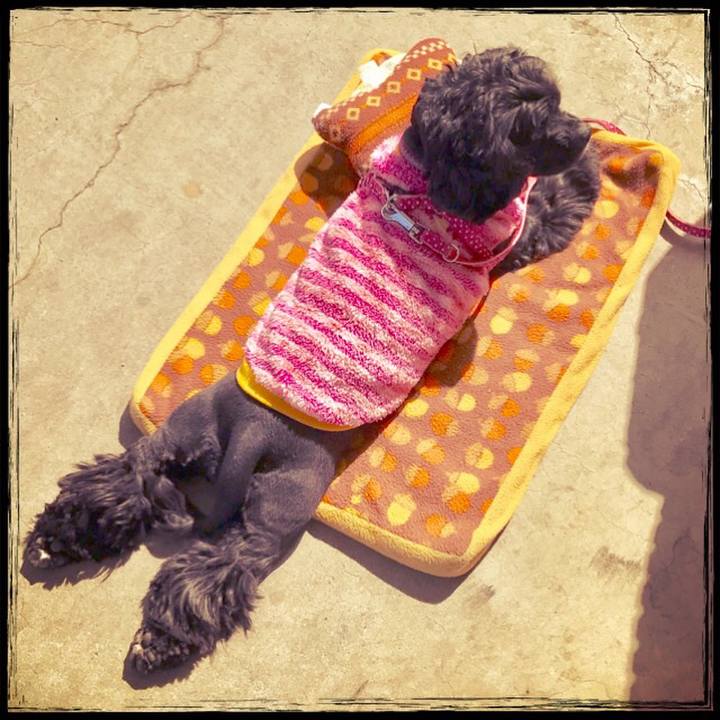 321e0c59 6bb4 414a 8575 a1aa8b5520cf 1519122547060