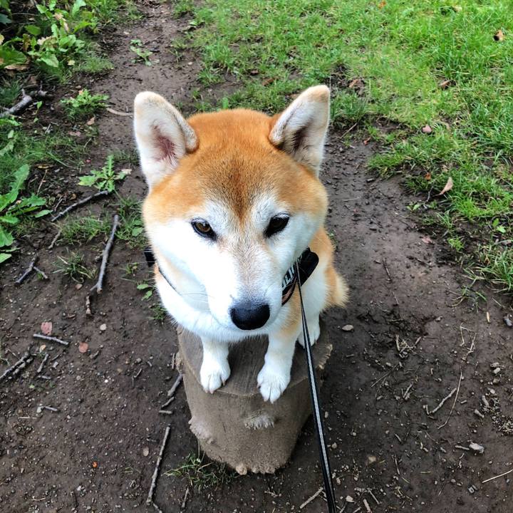 321e2834 6210 4df3 b5bc 43cbe0a2401f 1567146767087