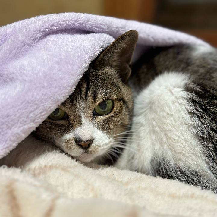 321e339f 3c6c 4a55 92df 08aa9085fde1 1677808237424