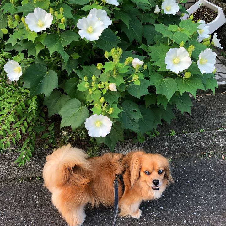 321e3415 0beb 4280 9725 2cf7789ec31f 1564695373733