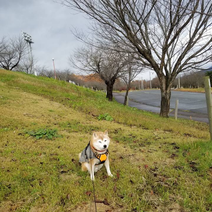 321e5955 f8ef 49f1 b1e2 0675d3ed92ba 1732938366074