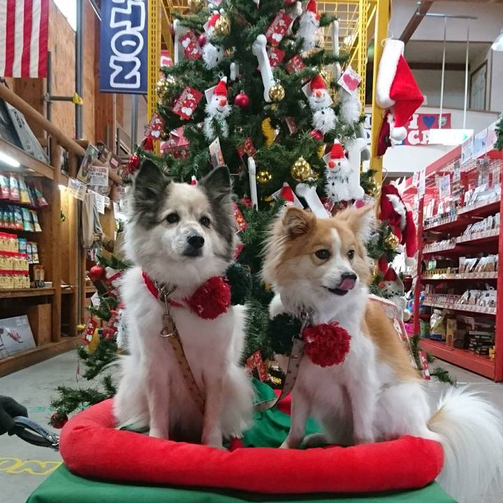 321e5ed6 a3c8 435e 863a 4516708fdfb8 1608898752320