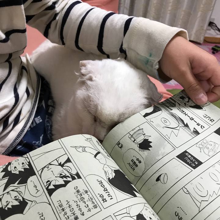 321ed8ab b4ab 4056 ad60 bce4c85cd782 1508069647242