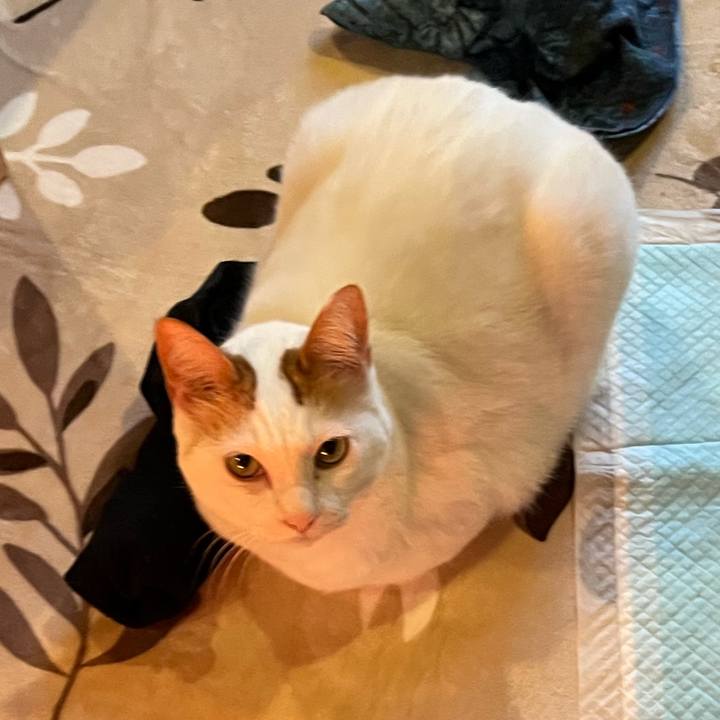 321eea3b 3ef7 4769 a1f0 d74ba265dd4d 1764684898182