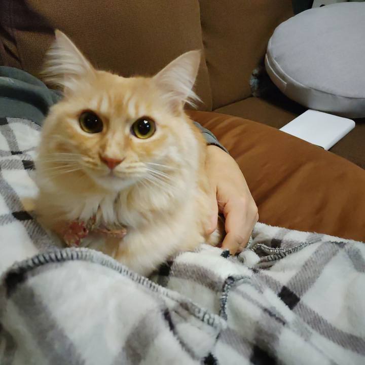 321ef7d0 1878 40df 8a46 d03de3d31f54 1701209401961