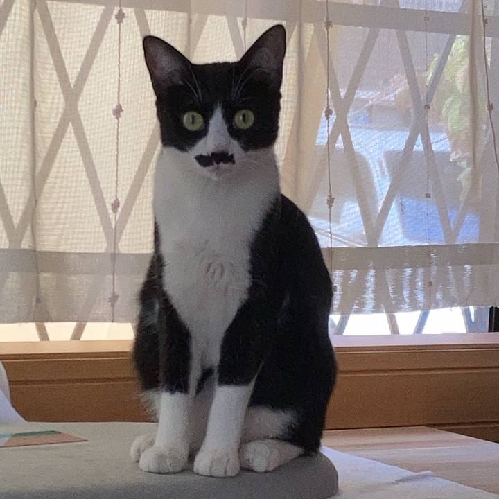 321f2fcd d74a 4d73 a792 4f978cf5e566 1695884908651