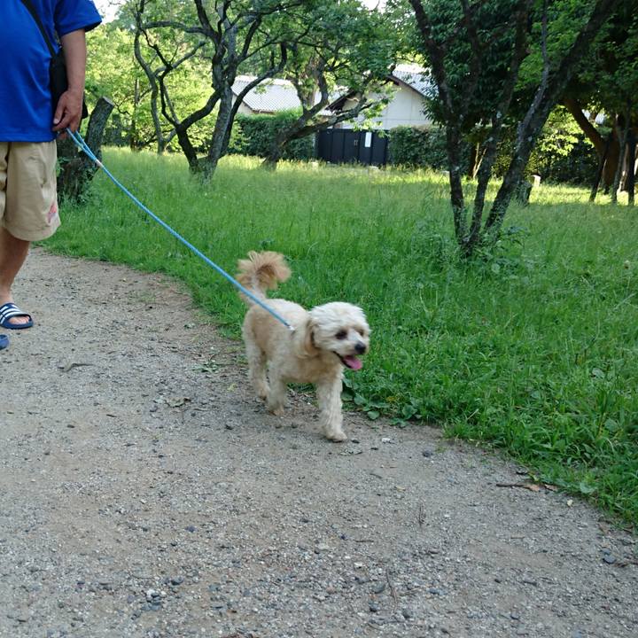 321f4461 47c1 4567 9417 127dc23726f9 1527334162841