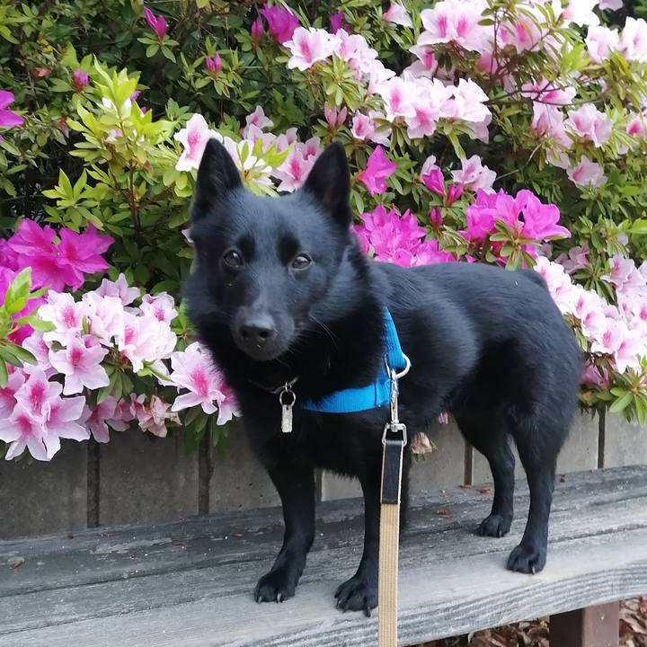 321f8ac6 6c95 48d6 90bd 6b8d8d622663 1618520212719