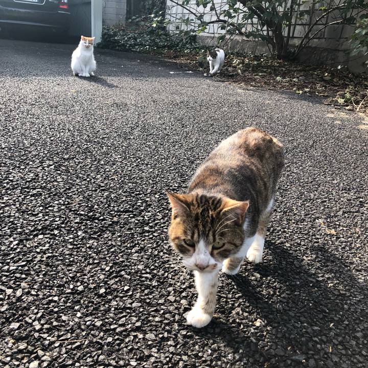 321fbd4c d4ad 438e b241 70722518a9f4 1546656361649