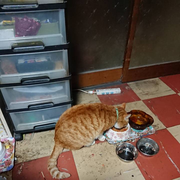 321fc022 03b6 4086 a198 7d12bdedc491 1581886093907