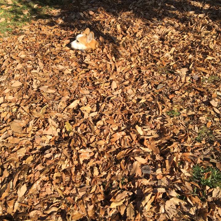 321fdc14 bac0 4b48 902a d9b78adffa71 1545185736293