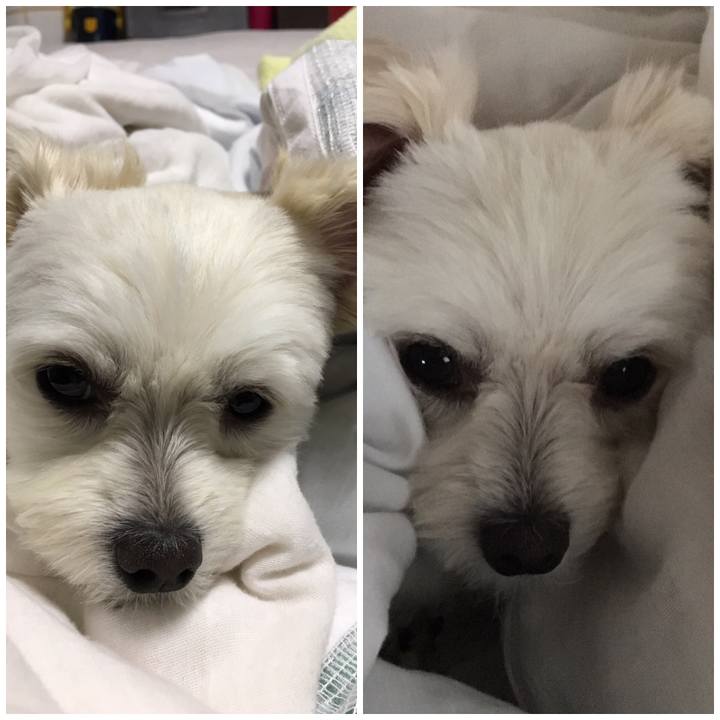 321fee31 afa8 4a4c 8694 38a2b1e8b215 1538792079200