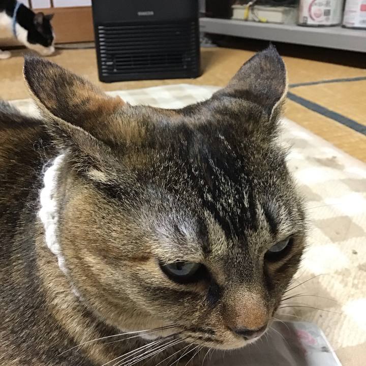 32203df7 475b 4d61 9fd2 8e1f034f5809 1740822232784