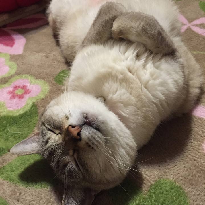 3220720a 0bd2 4a5c b9ed 9d0ed439f8c5 1518610448520