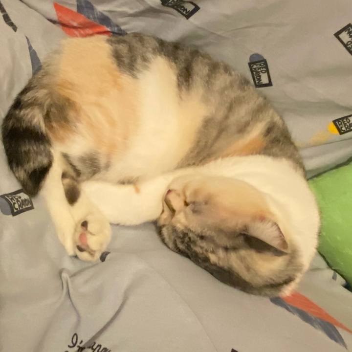 3220aabf ea9a 4836 a92b 72d4d1b625ca 1635869185801