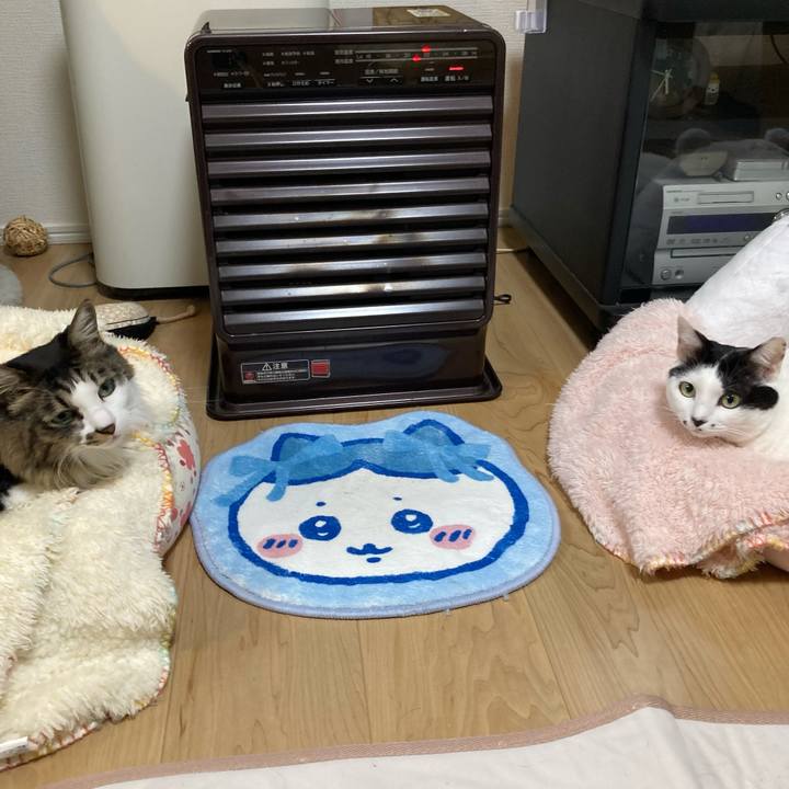 3220afff 4ca3 49d0 9d98 6b4bad3335a1 1762807810756