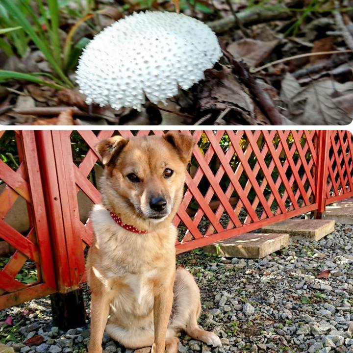 3220c978 38a5 4063 8f6e 1cd0c9054b67 1694956999144