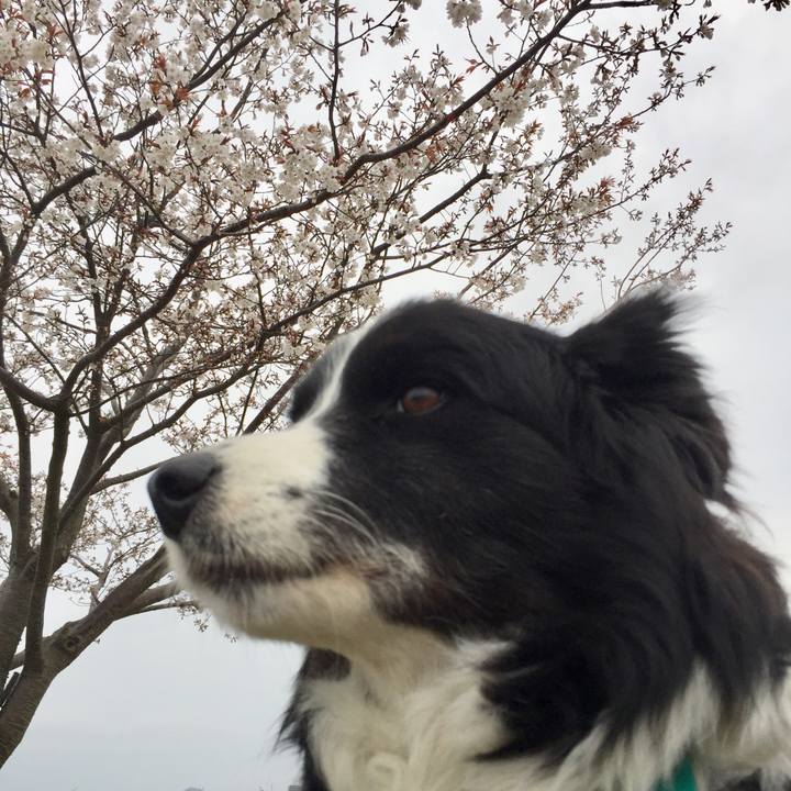 3220cadc 8e14 40ea b786 6ccf73561e2e 1584832798626