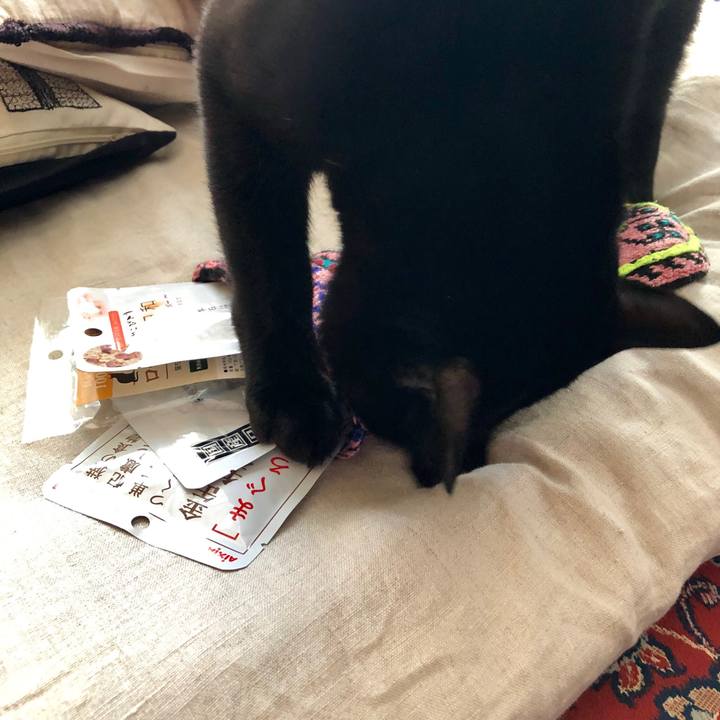 32210307 86ce 4096 a52b b1235f6ffcad 1545610321141