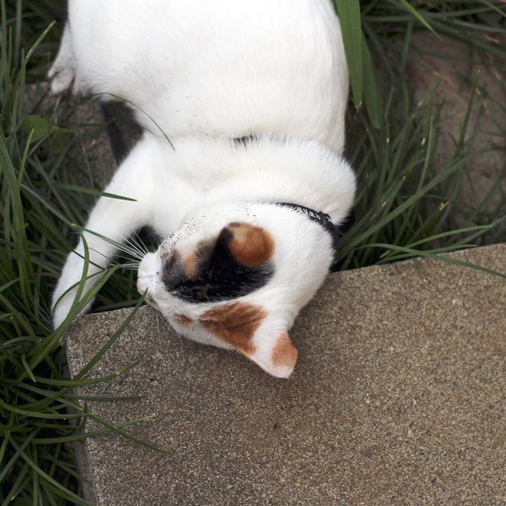 322131da 34d3 4490 92e5 81696194bede 1564613755938