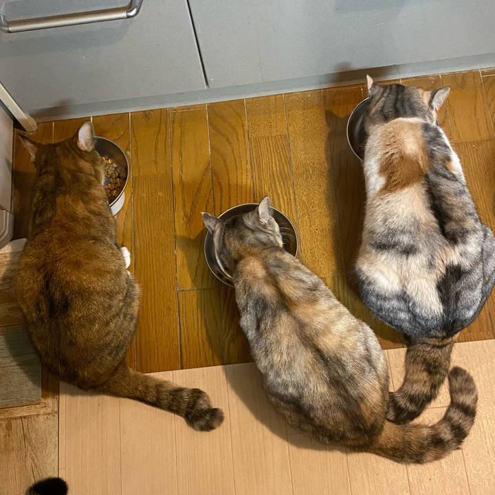 322153d3 e747 431b a718 79ac5d198ecf 1644503252536