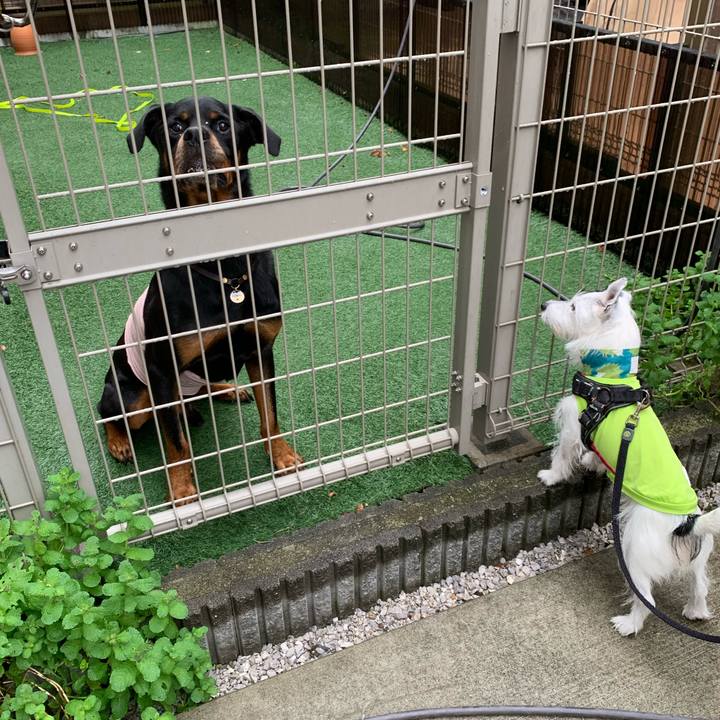 3221824d 2ca1 4cc9 9c2c e6d2da3d668d 1731628930711