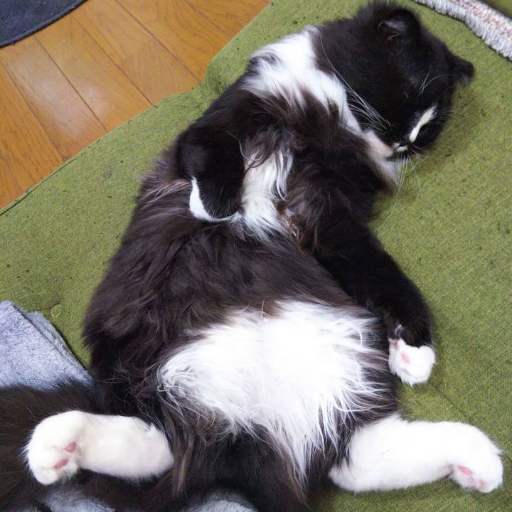 3221aca3 eafe 4741 a17f d69c1d901787 1654760557194